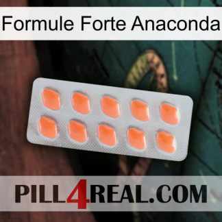 Anaconda Strong Formula 26